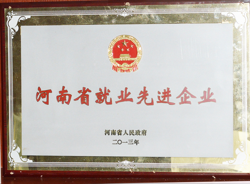 河南省就業(yè)先進企業(yè)